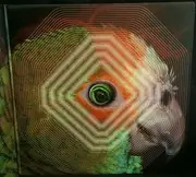 Double LP - RX Bandits - Mandala