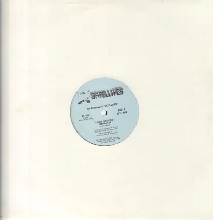 Ryo Kawasaki & Satellites - Life Is The Rhythm