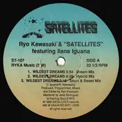 Ryo Kawasaki - Wildest Dreams