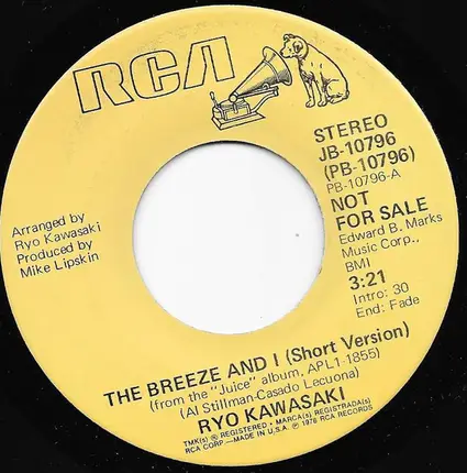 Ryo Kawasaki - The Breeze And I