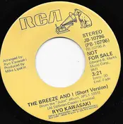 Ryo Kawasaki - The Breeze And I