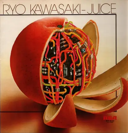 Ryo Kawasaki - Juice