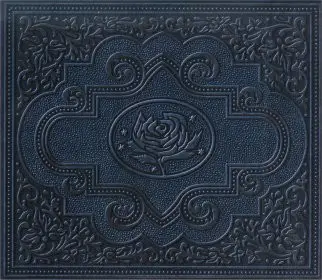 Ryan Adams & The Cardinals - Cold Roses