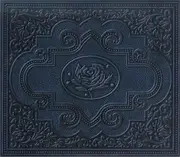 Double CD - Ryan Adams & The Cardinals - Cold Roses - Digisleeve