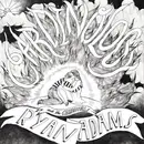 Double LP - Ryan Adams & The Cardinals - Cardinology - White Vinyl + 7', Booklet