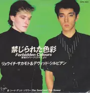 Ryuichi Sakamoto & David Sylvian - Forbidden Colours