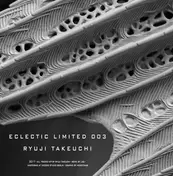 Ryuji Takeuchi - Eclectic Limited 003