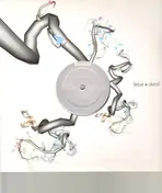 juno 6 - BOMBOLONE/MOLTO IN BASSO
