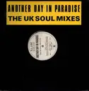 12inch Vinyl Single - S. L. Line - Another Day In Paradise (The UK Soul Mixes)