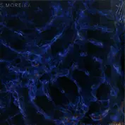 S. Moreira