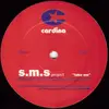 12'' - S.M.S. Project - Take Me