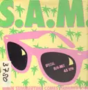12inch Vinyl Single - S.A.M. - When Summertime Comes (Summersong)
