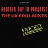 7inch Vinyl Single - S.L. Line - Another Day In Paradise (The UK Soul Mixes)