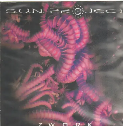 S.U.N. Project - Zwork