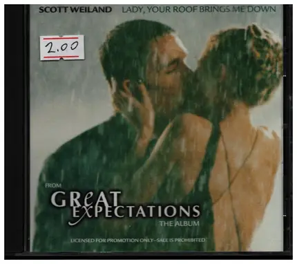 Scott Weiland - Lady, Your Roof Brings Me Down