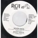 7inch Vinyl Single - Scott White - Never Ends