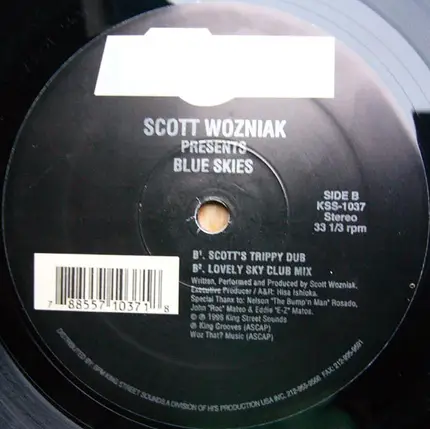 Scott Wozniak - Blue Skies