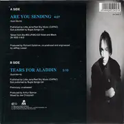 7inch Vinyl Single - Scott Merritt - Are You Sending
