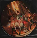 Picture Disc - Scorpions - Savage Amusement - Insert Incl. Picture disc. Signed