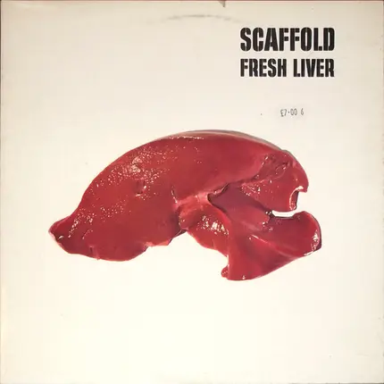 Scaffold - Fresh Liver