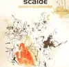 12'' - Scalde - Fear Of A Fly/ Agoria Rmx