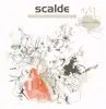 12inch Vinyl Single - Scalde - Fear Of A Fly - Still Sealed