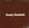 12inch Vinyl Single - Scanty Sandwich - Because Of You
