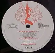 12inch Vinyl Single - Scarlet Fantastic - Plug Me In