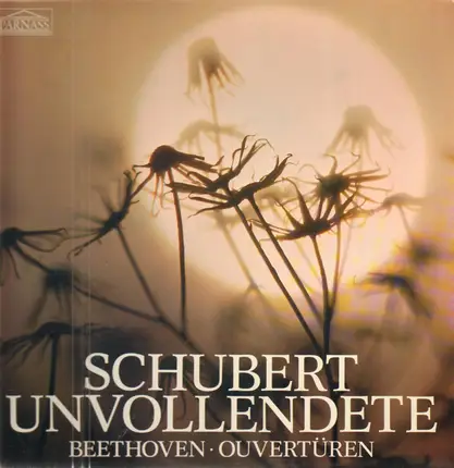 Schubert - Unvollendete