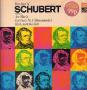 Schubert - Your Kind Of Schubert