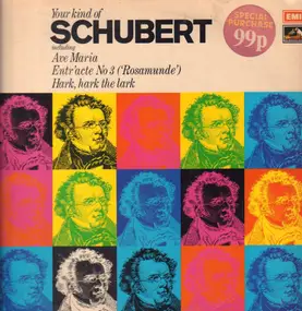 Franz Schubert - Your Kind Of Schubert