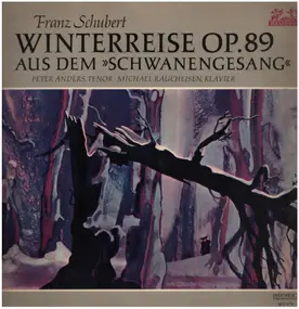 Franz Schubert - Winterreise Op. 89