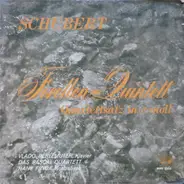 Schubert - Forellen-Quintett, Quartettsatz In C-moll