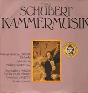 Schubert - Kammermusik