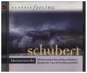 Franz Schubert - Meisterwerke