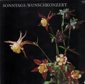 Franz Schubert - Sonntags-Wunschkonzert