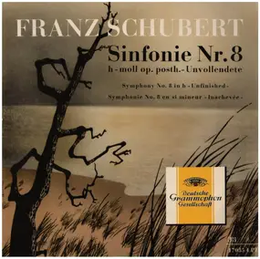 Franz Schubert - Sinfonie Nr.8 h-moll 'Unvollendete'