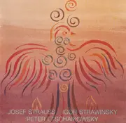CD - Schweizer Jugend-Sinfonie-Orchester / Andreas Delfs - Peter I. Tschaikowsky / Igor Strawinsky / Josef Strauss