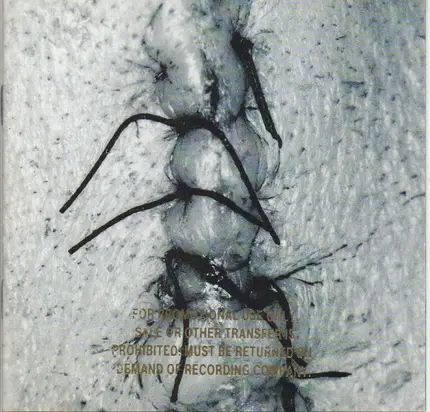 Scheer - Infliction