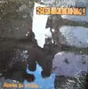 12'' - Schkoonk! - Après La Pluie...