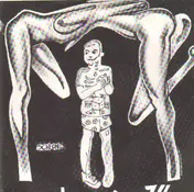 Schlong - Limp 7'