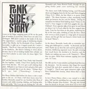 CD - Schlong - Schlong's Punk Side Story