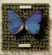 Double LP - Schmetterlinge - Die Letzte Welt