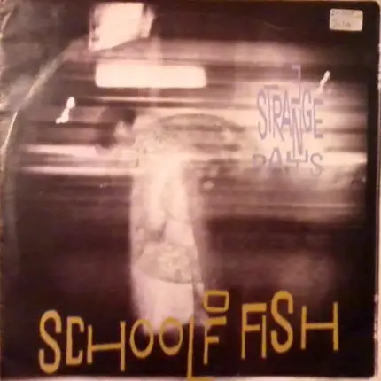 School Of Fish - 3 Strange Days