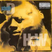 Schoolly D - How A Blackman Feels