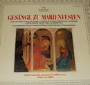 LP - Gregorian Chant Compilation - Gesänge zu Marienfesten - Gatefold