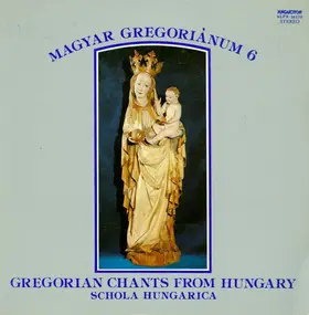 Schola Hungarica - Magyar Gregoriánum 6 (Gregorian Chants From Hungary)