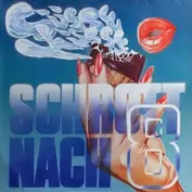 Schrott Nach 8