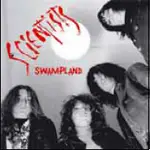 The Missing Scientists - SWAMPLAND