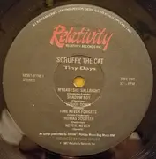 LP - Scruffy the Cat - Tiny Days
